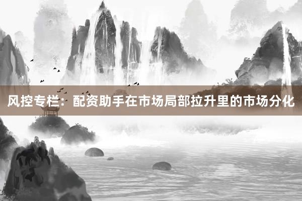 风控专栏：配资助手在市场局部拉升里的市场分化