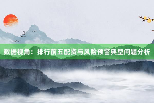 数据视角：排行前五配资与风险预警典型问题分析