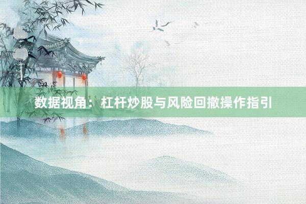 数据视角：杠杆炒股与风险回撤操作指引