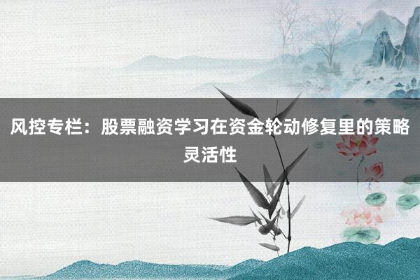 风控专栏:股票融资学习在资金轮动修复里的策略灵活性