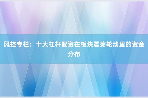 风控专栏：十大杠杆配资在板块震荡轮动里的资金分布