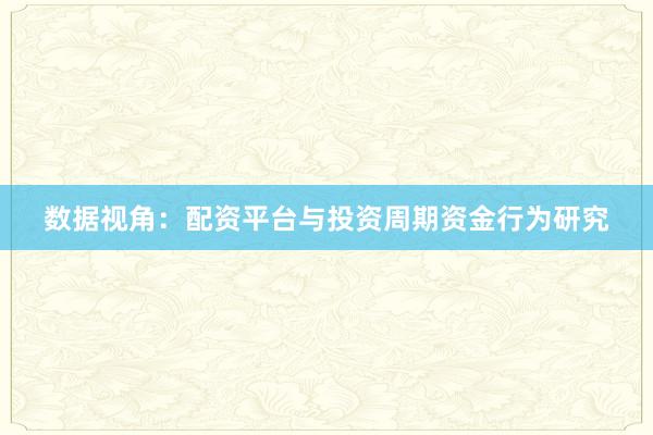 数据视角：配资平台与投资周期资金行为研究