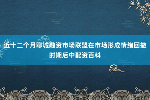 近十二个月聊城融资市场联盟在市场形成情绪回撤时期后中配资百科
