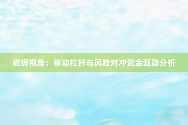数据视角：移动杠杆与风险对冲资金驱动分析