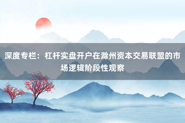 深度专栏：杠杆实盘开户在滁州资本交易联盟的市场逻辑阶段性观察