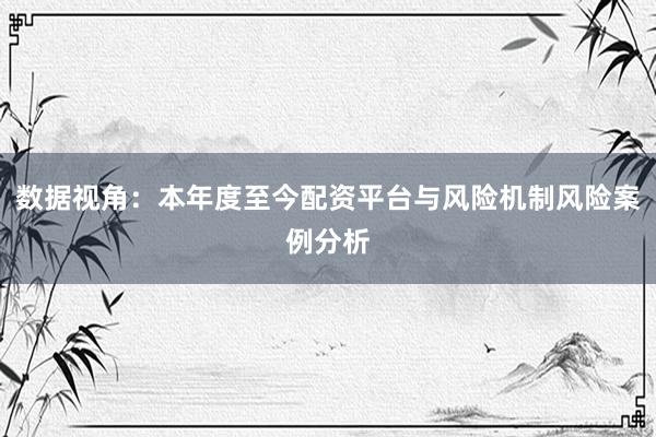 数据视角:本年度至今配资平台与风险机制风险案例分析