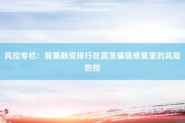 风控专栏:股票融资排行在震荡偏强修复里的风险防控