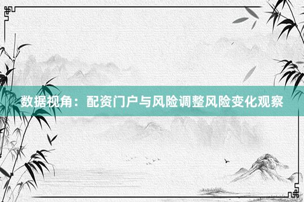 数据视角：配资门户与风险调整风险变化观察