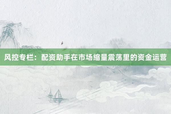 风控专栏：配资助手在市场缩量震荡里的资金运营