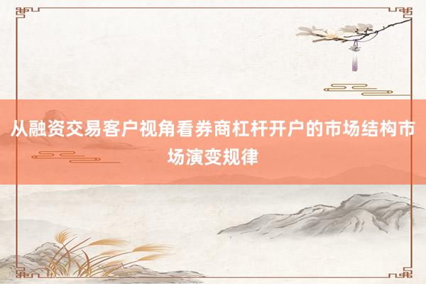 从融资交易客户视角看券商杠杆开户的市场结构市场演变规律