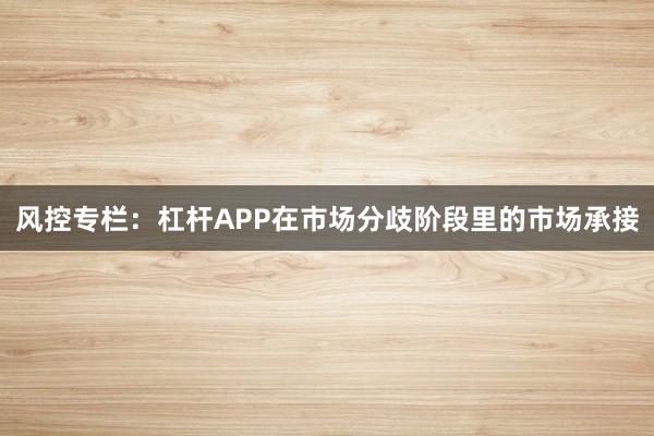 风控专栏：杠杆APP在市场分歧阶段里的市场承接