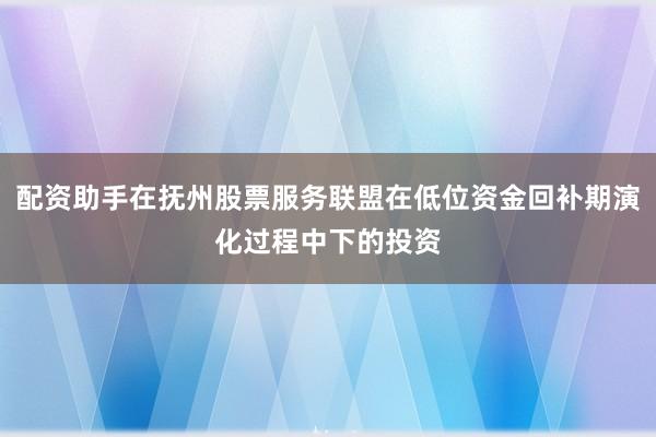 配资助手在抚州股票服务联盟在低位资金回补期演化过程中下的投资