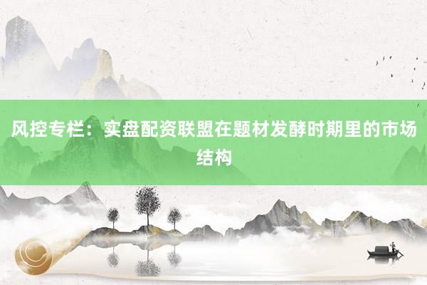 风控专栏：实盘配资联盟在题材发酵时期里的市场结构