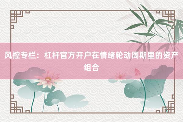 风控专栏：杠杆官方开户在情绪轮动周期里的资产组合