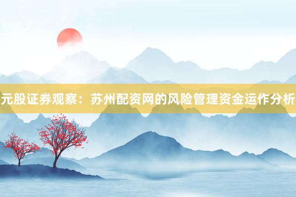 元股证券观察：苏州配资网的风险管理资金运作分析