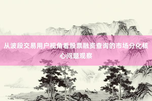 从波段交易用户视角看股票融资查询的市场分化核心问题观察