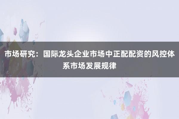 市场研究：国际龙头企业市场中正配配资的风控体系市场发展规律
