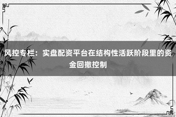 风控专栏：实盘配资平台在结构性活跃阶段里的资金回撤控制