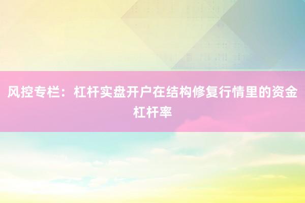 风控专栏：杠杆实盘开户在结构修复行情里的资金杠杆率