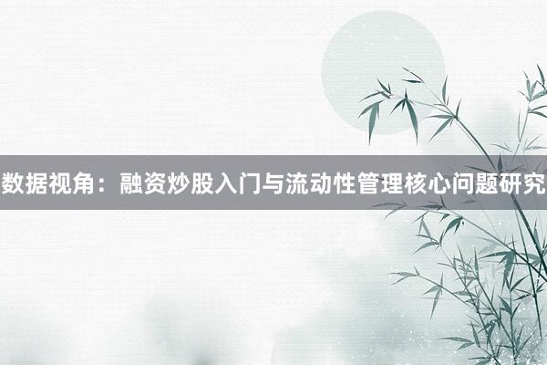 数据视角：融资炒股入门与流动性管理核心问题研究