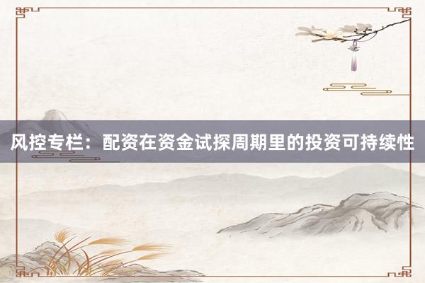 风控专栏:配资在资金试探周期里的投资可持续性