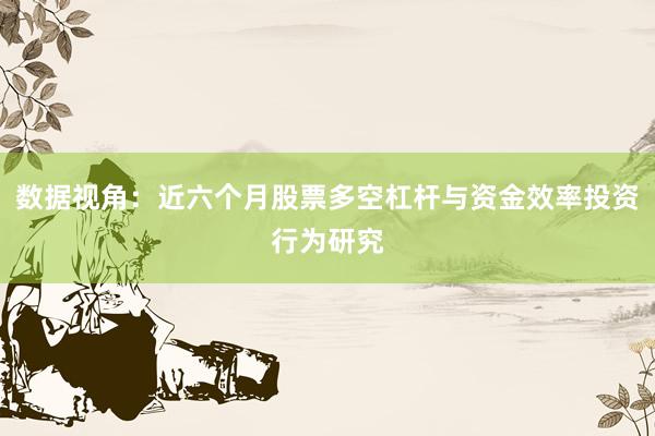 数据视角：近六个月股票多空杠杆与资金效率投资行为研究