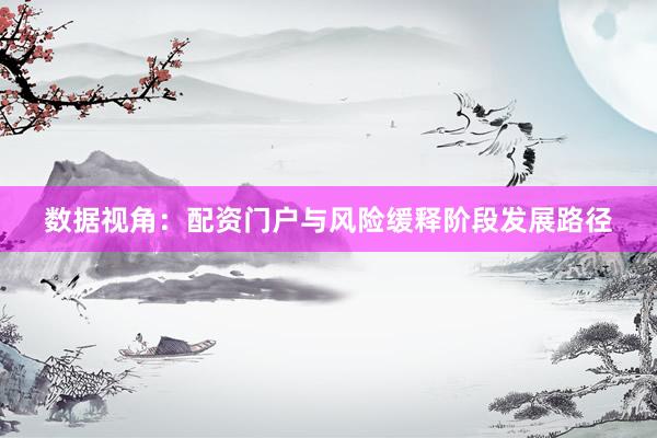 数据视角：配资门户与风险缓释阶段发展路径