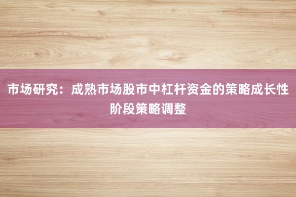 市场研究：成熟市场股市中杠杆资金的策略成长性阶段策略调整
