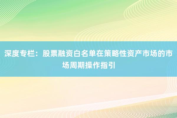 深度专栏:股票融资白名单在策略性资产市场的市场周期操作指引