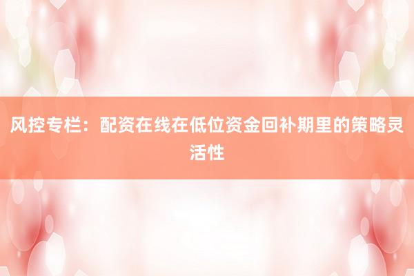 风控专栏:配资在线在低位资金回补期里的策略灵活性