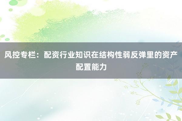 风控专栏：配资行业知识在结构性弱反弹里的资产配置能力