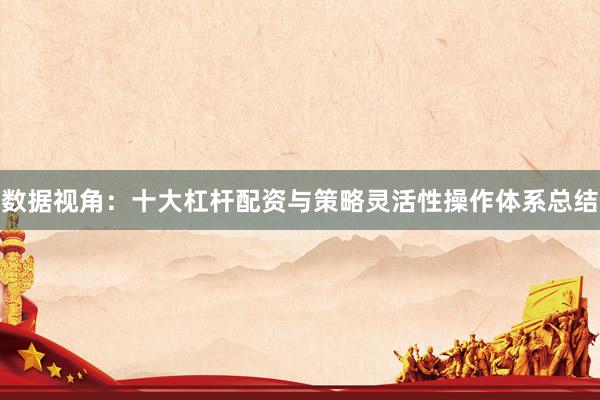 数据视角：十大杠杆配资与策略灵活性操作体系总结