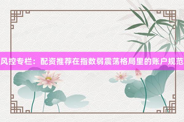 风控专栏：配资推荐在指数弱震荡格局里的账户规范