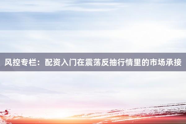 风控专栏：配资入门在震荡反抽行情里的市场承接