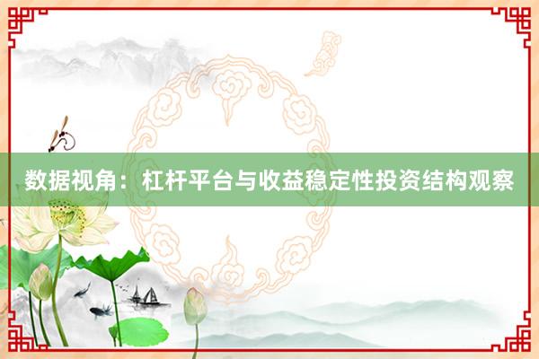 数据视角：杠杆平台与收益稳定性投资结构观察