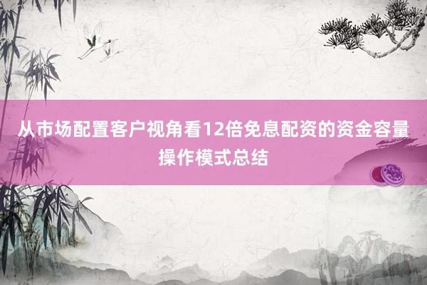 从市场配置客户视角看12倍免息配资的资金容量操作模式总结