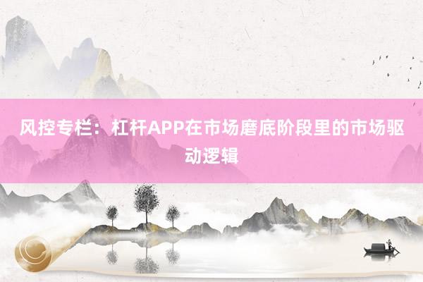 风控专栏：杠杆APP在市场磨底阶段里的市场驱动逻辑