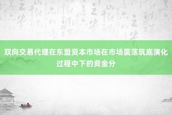 双向交易代理在东盟资本市场在市场震荡筑底演化过程中下的资金分
