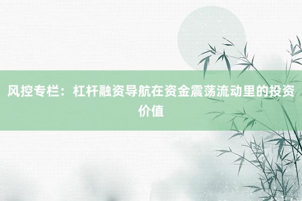 风控专栏：杠杆融资导航在资金震荡流动里的投资价值