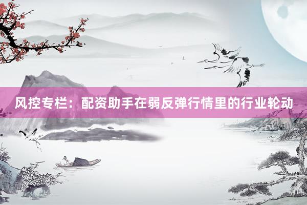 风控专栏：配资助手在弱反弹行情里的行业轮动