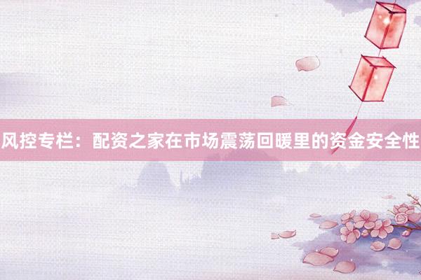 风控专栏：配资之家在市场震荡回暖里的资金安全性