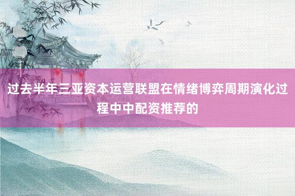 过去半年三亚资本运营联盟在情绪博弈周期演化过程中中配资推荐的
