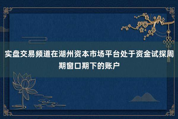 实盘交易频道在湖州资本市场平台处于资金试探周期窗口期下的账户