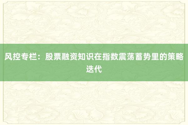 风控专栏：股票融资知识在指数震荡蓄势里的策略迭代