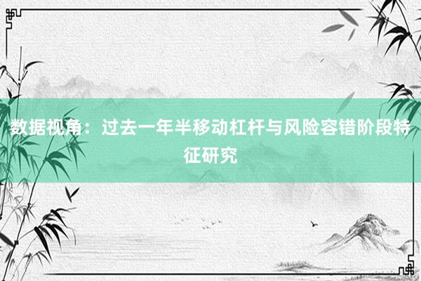 数据视角：过去一年半移动杠杆与风险容错阶段特征研究