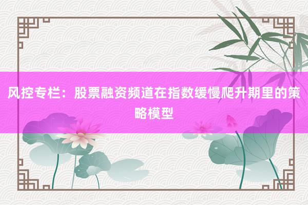 风控专栏：股票融资频道在指数缓慢爬升期里的策略模型