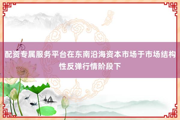 配资专属服务平台在东南沿海资本市场于市场结构性反弹行情阶段下