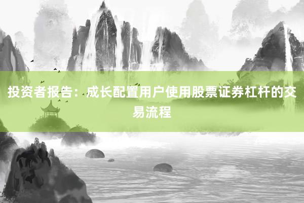 投资者报告：成长配置用户使用股票证券杠杆的交易流程