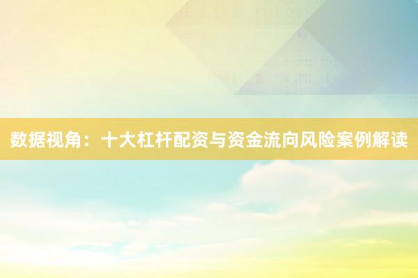 数据视角：十大杠杆配资与资金流向风险案例解读