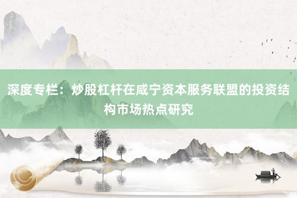 深度专栏：炒股杠杆在咸宁资本服务联盟的投资结构市场热点研究